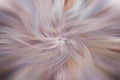 Fine art abstract background. Pink and white