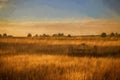 Fine art, artwork. Digital abstract oil painting of an antique hay rake in a farmers field at sunset Royalty Free Stock Photo