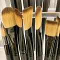 Fine Art Brushes for Painting Royalty Free Stock Photo