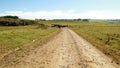 Fine art, color, landscape photo of cattle on a dirt road.