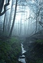 Fine art fantasy color outdoor nature image of a small river / creek in a foggy winter forest with rocks,undergrowth,bridg