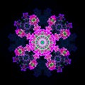 Geometrical color pattern mandala made of pink blue green tulips on black background