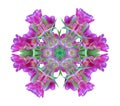 Decorative geometrical color pattern made of macros of pink green tulips on white background