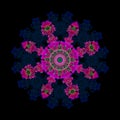 Geometrical color pattern mandala made from macros of red pink green tulips on black background