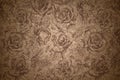 Fine Art Natural cork Textures with Hand drawn roses Flower overlay. Portrait Photo Floral Textures Backdrop Digital