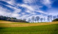 Sunny rural idyllic landscape winter scene with hills, grass, trees, forest, blue sky, clouds, contrails,