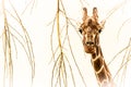 Fine art photo of a giraffe Royalty Free Stock Photo