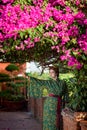 Beautiful woman in Geisha kimono in a garden Royalty Free Stock Photo