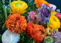 Bouquet of colorful and differently shaped buttercup blossoms with buds on blue background