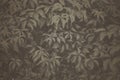 Fine art Vintage Plant texture. Grunge nature grass abstract background. Trendy overlay photoshop backdrop for create Royalty Free Stock Photo