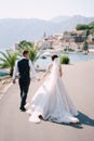 Fine-art wedding photo in Montenegro, Perast. A wedding couple walks along the promenade near the sea, amid palm trees Royalty Free Stock Photo