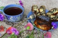 A Fine Breakfast, A Mug Of Tea, Fresh Rolls With Poppy Seeds And Poppy Flowers