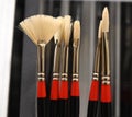 Fine Paint Brushes Royalty Free Stock Photo