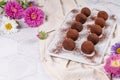 Fine chocolate truffles on white ceramic plate Royalty Free Stock Photo