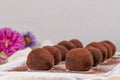 Fine chocolate truffles on white ceramic plate Royalty Free Stock Photo