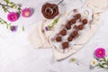 Fine chocolate truffles on white ceramic plate Royalty Free Stock Photo