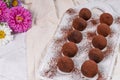 Fine chocolate truffles on white ceramic plate Royalty Free Stock Photo