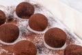 Fine chocolate truffles on white ceramic plate Royalty Free Stock Photo