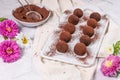 Fine chocolate truffles on white ceramic plate Royalty Free Stock Photo