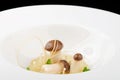 Fine dining, mushroom Porcini soup Royalty Free Stock Photo