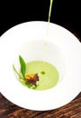 Fine dining, Poached Egg with spinach sauce and Truffel Royalty Free Stock Photo