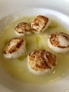 Fine dining, scallops with truffled parmentier potatoes Royalty Free Stock Photo