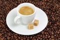 Fine espresso in cup on coffee beans Royalty Free Stock Photo