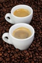 Fine espresso in cup on coffee beans Royalty Free Stock Photo
