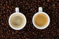 Fine espresso in cup on coffee beans Royalty Free Stock Photo