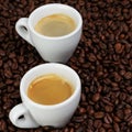 Fine espresso in cup on coffee beans Royalty Free Stock Photo