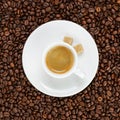 Fine espresso in cup on coffee beans Royalty Free Stock Photo