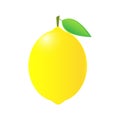 Fine fresh yellow lemon with a green leaf Royalty Free Stock Photo