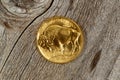 Fine gold Buffalo Coin on rustic wooden background