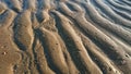 Fine Golden Sand Abstract Background Beach