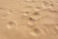 Fine golden sand with small dunes on a sunny day