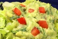 Fine gourmet guacamole Royalty Free Stock Photo