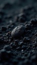 Fine-grained dark soil  smooth texture  moist  dark  smooth  garden Royalty Free Stock Photo