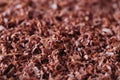 Fine grated chocolate background Royalty Free Stock Photo