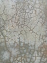 Fine hairline cracks in unpainted wall plaster