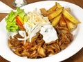 Fine Meat - Gyros with Coleslaw and French Fries and Onions Royalty Free Stock Photo