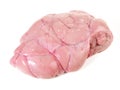Fine Meat - Raw Veal Sweetbread isolated on white Background Royalty Free Stock Photo