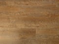 Fine oak tree wood texture pattern background. Exquisite Design Oak Wood Grain.