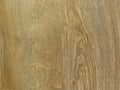 Fine oak tree wood texture pattern background. Exquisite Design Oak Wood Grain.