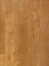 Fine oak tree wood texture pattern background. Exquisite Design Oak Wood Grain.