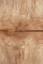 Fine Oak Wood Grain Texture Backdrop with Detailed Grainy Pattern for Rustic Design Projects Royalty Free Stock Photo