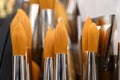 Fine Paint Brushes Royalty Free Stock Photo