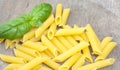 Fine penne noodles