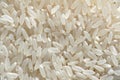 Fine rices Royalty Free Stock Photo