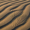 Patterns adorn a sandy surface possibly created by wind or water Royalty Free Stock Photo