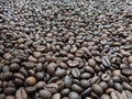 Fine robusta coffee natural process
